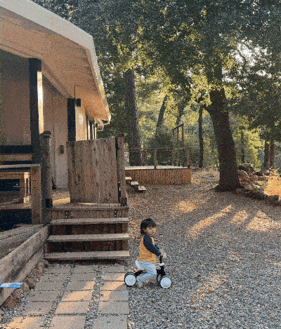 Moving Back to California: Choosing Family, Sunshine, and a Homesteading Life