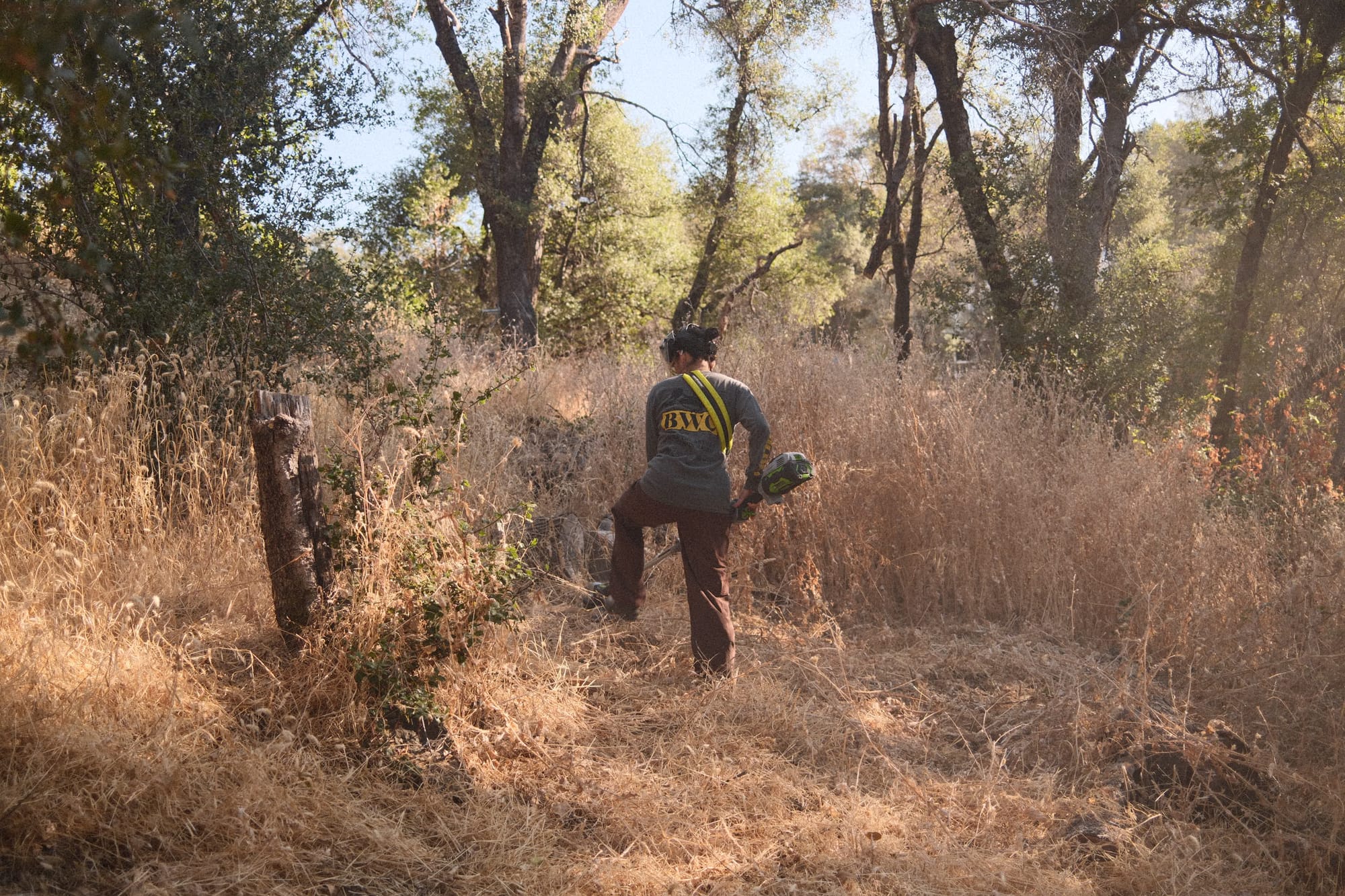 Creating a Family-Friendly Homestead: How We Balance a Toddler, Dogs, and Land Work