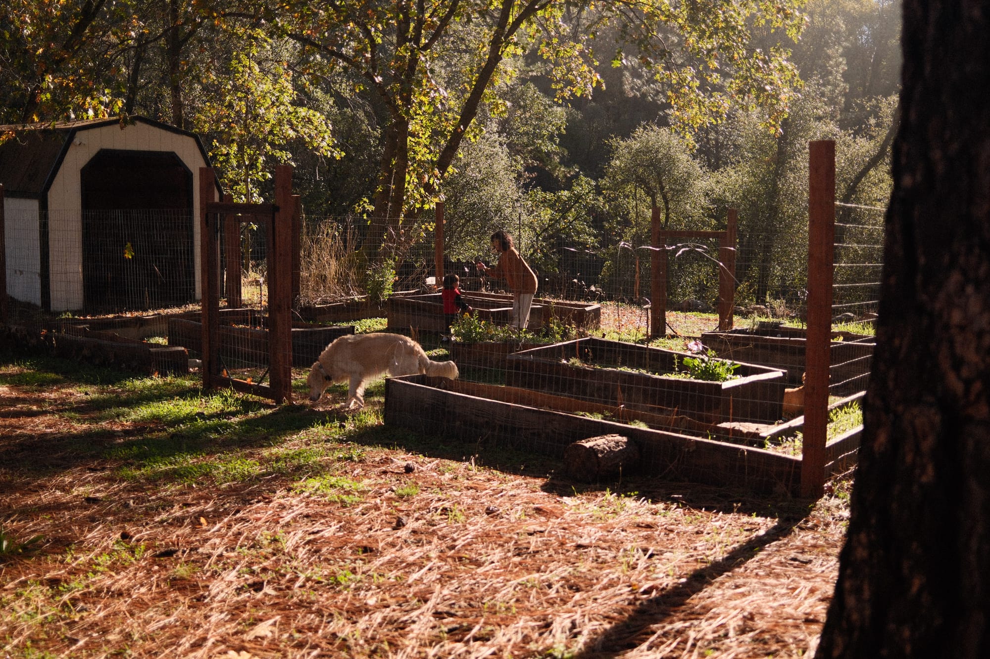 A Short (But Fascinating) History of Homesteading — and Why It Usually Looks A Very Specific Way